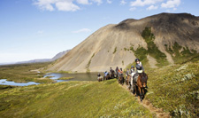 Iceland-Northern Tours-Wild North